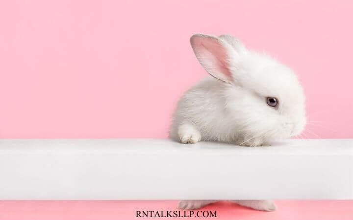 Good Friday And Easter Quiz With Answers