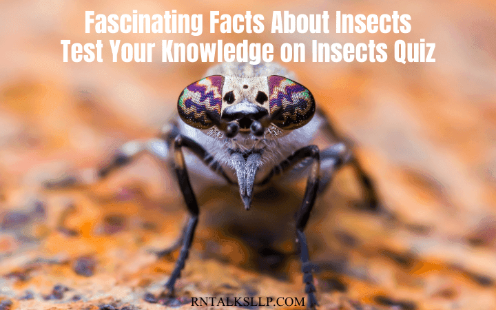Fascinating Facts About Insects _ Test Your Knowledge on Insects Quiz