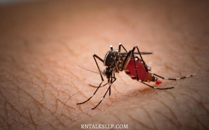 Malaria Quiz Test Your Malaria Prevention Knowledge