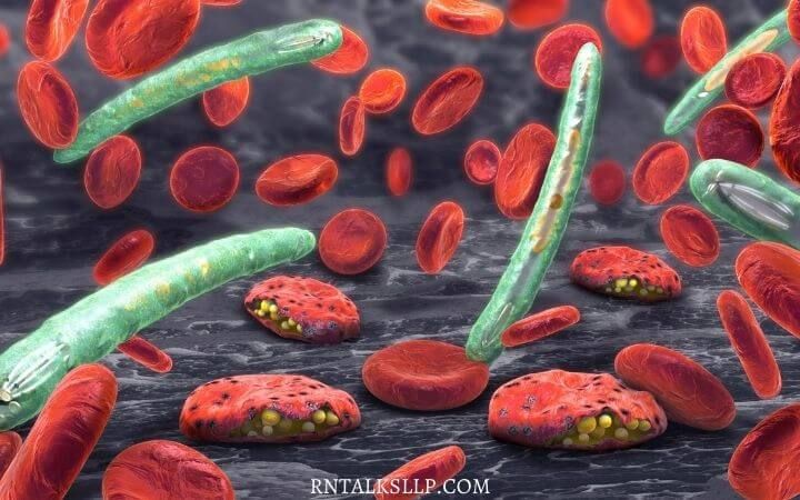 Malaria Quiz Test Your Malaria Prevention Knowledge