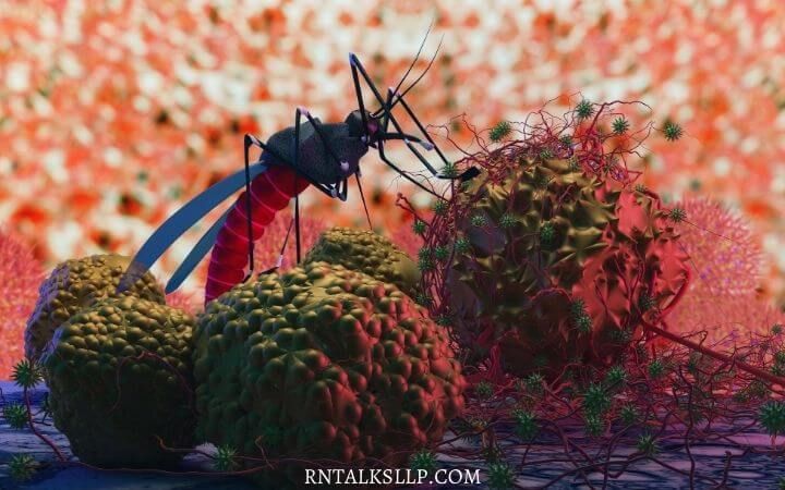 Malaria Quiz Test Your Malaria Prevention Knowledge