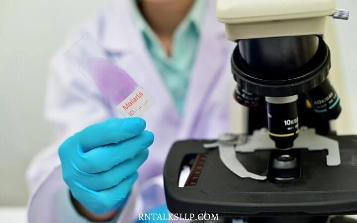 Malaria Quiz Test Your Malaria Prevention Knowledge