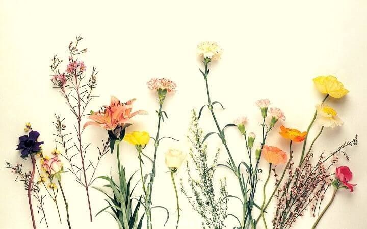 Take on The Ultimate Happy Mother Day Quiz