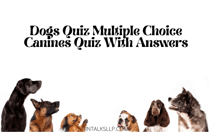 Dogs Quiz Multiple Choice | Canines Quiz With Answers