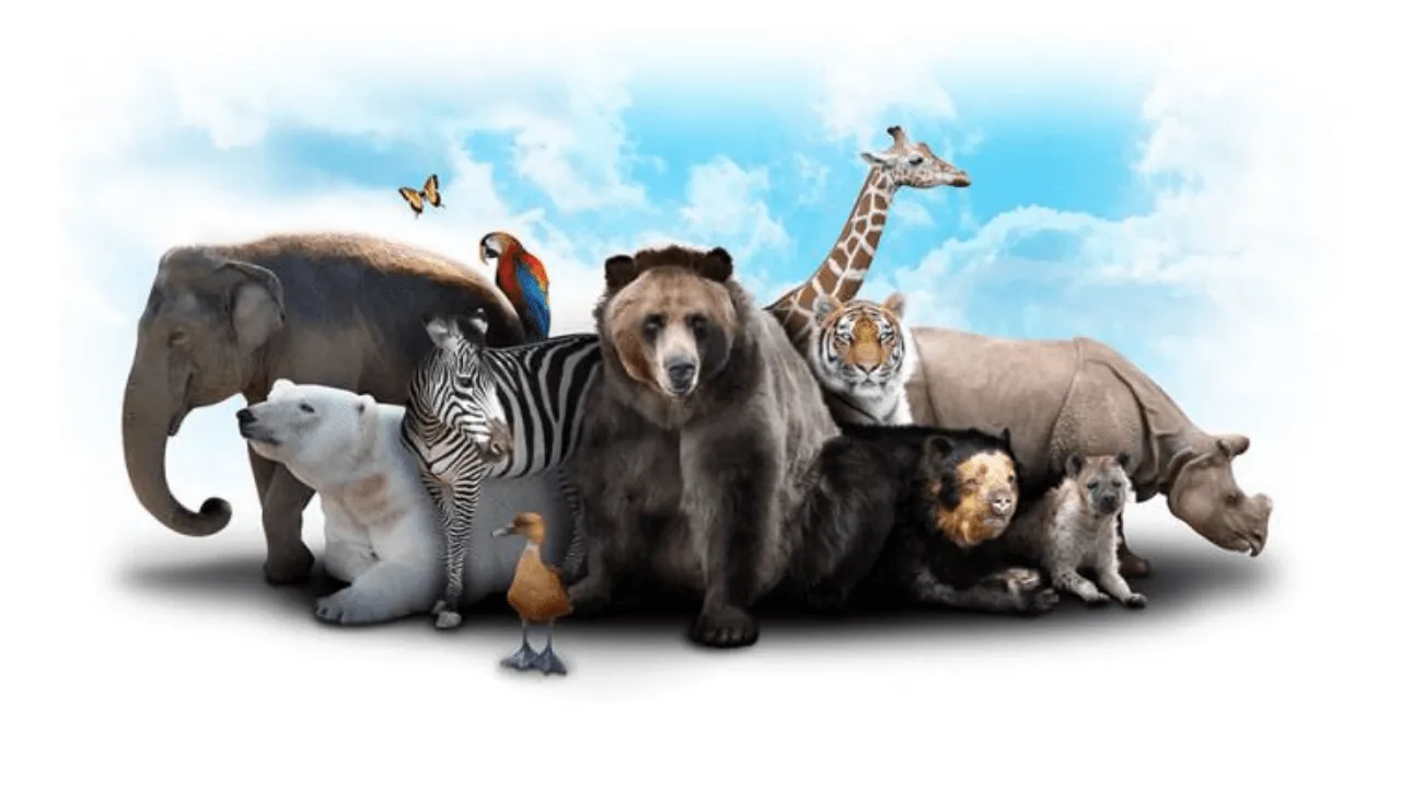Best General Knowledge Quiz Up To 8 Years