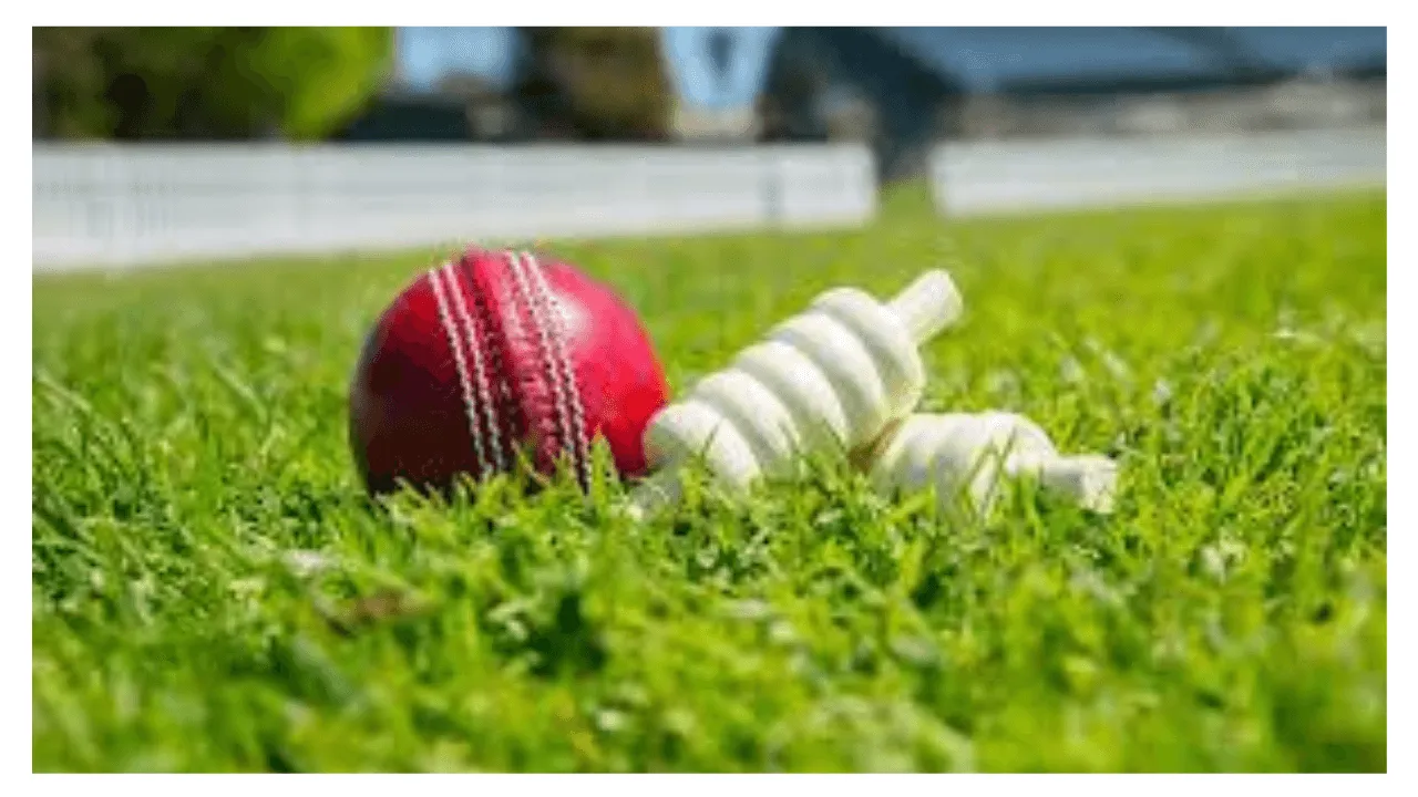 Top Online GK Quiz For Classes Up to 3rd