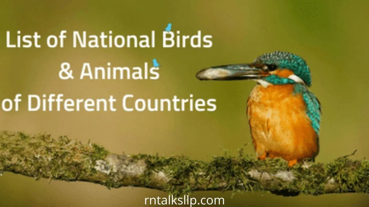 Can You Pass National Treasures Quiz