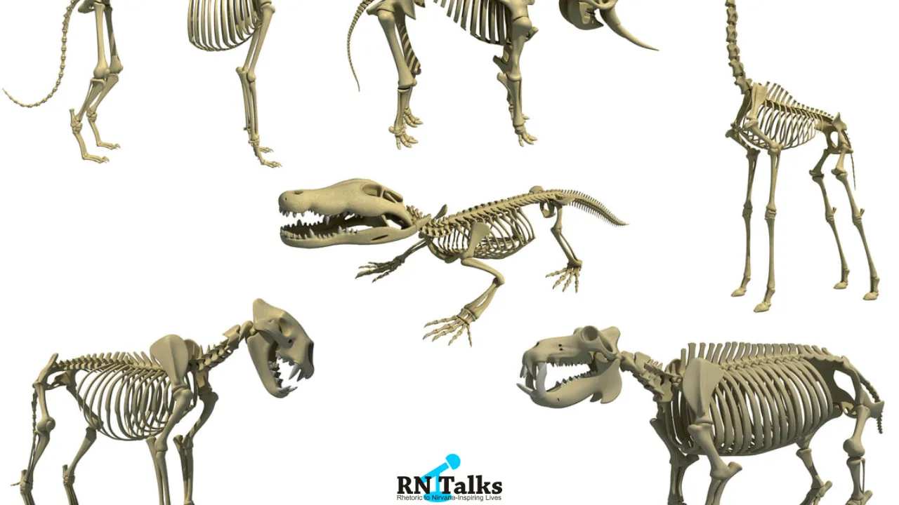 Interesting Facts About Animals And Birds