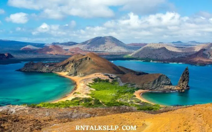 The Ultimate Sea Creature Quiz With RNTalks