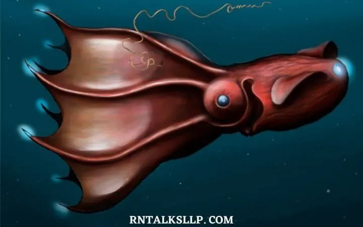 30 RNTalks Deep-Sea Creatures Quiz Questions