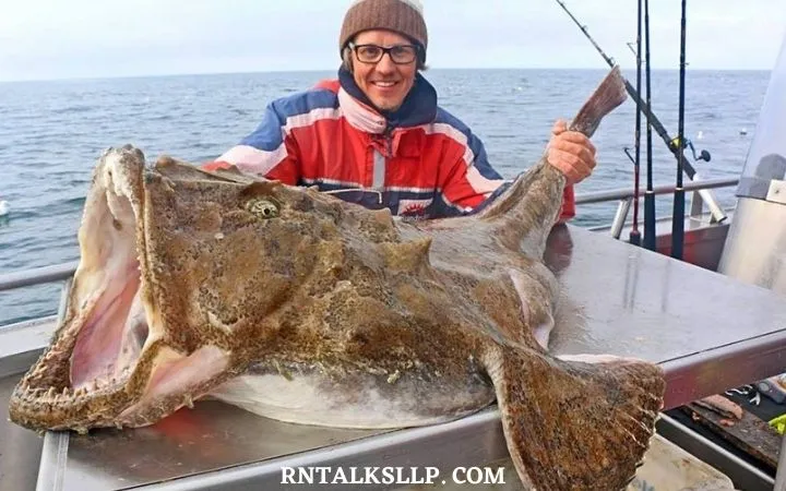 30 RNTalks Deep-Sea Creatures Quiz Questions
