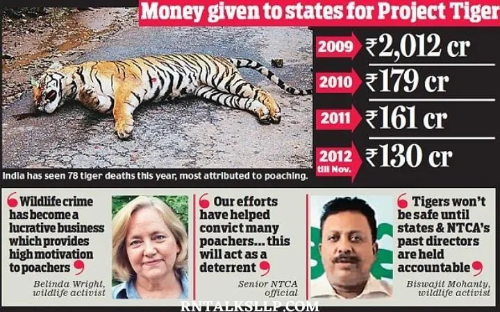 World Tiger Day Quiz | International Tiger Day Quiz | How Much Do You Know About Tigers
